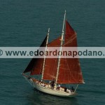 1963 gaff schooner replica Murray Peterson Coaster 37 13 mt/10mt - 90.000 € negotiable