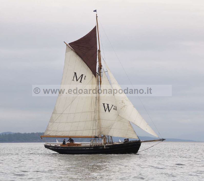 cutter aurico