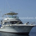 SOLD - Bertram 46.6 Convertible - 1986 - venduto