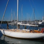 11.70 SCIARRELLI 1973 CRAGLIETTO