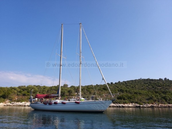 Sciarrelli Scia 50 (1)