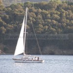 7.70 m DAYSAILER cutter 1965