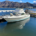 1971 Riva Bertram 25 Sportfisherman