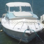Bertram 25 Express Cruiser