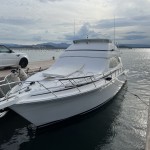 Bertram 450
