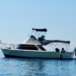1968 Bertram 31 Sportfish - no plate /natante - 95.000 €